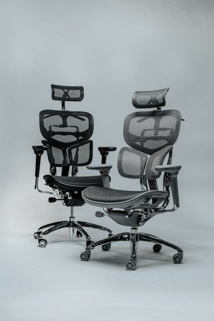 Evis Ergonovis™ Chair (Persian Gold) - Image 3